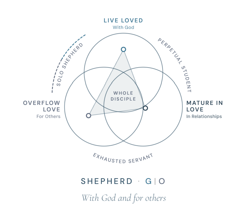 A sample GROW Profile diagram: a Shepherd strength, With God and for others, with a Solo Shepherd drift